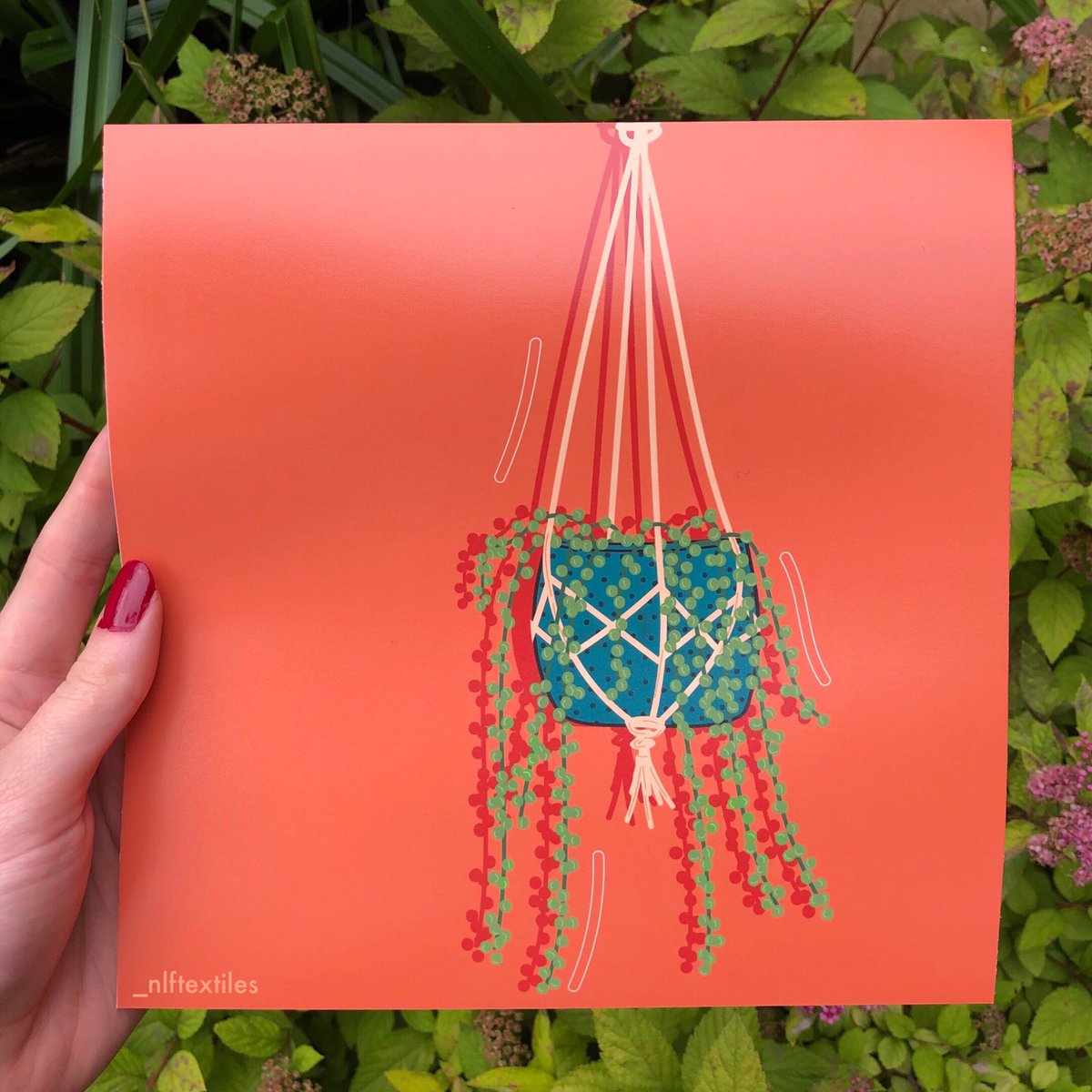 _nlftextiles's tweet photo. πΏπ±ππΏπ±ππΏπ±π
Etsy: https://t.co/JhT9DAm35k
#etsy #etsyshop #SmallBusiness #SmallBiz #shopsmall #plants #print #digitalart #artanddesign #textilesstudent https://t.co/aBPJ6lhbhx