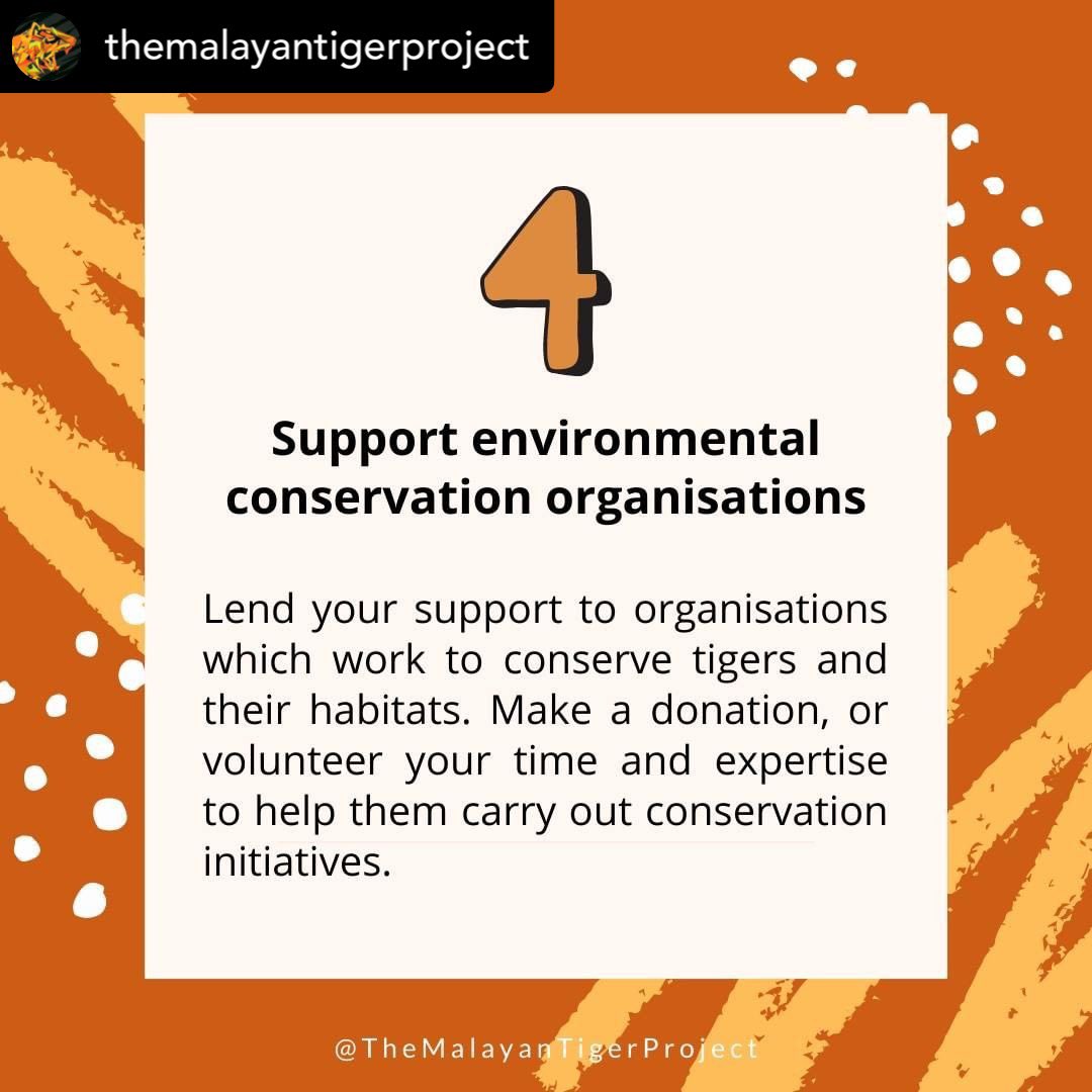 harimau_my's tweet photo. Visit https://t.co/2o36KCIIMO to know more about the tigers. 

#wwfmy
#Roar4Life
#KeepRoaring
#KitaJagaTiger
#MalayanTigerPledge
#TheMalayanTigerProject
#SaveOurMalayanTiger
#SelamatkanHarimauMalaya https://t.co/1Tp30NddgB
