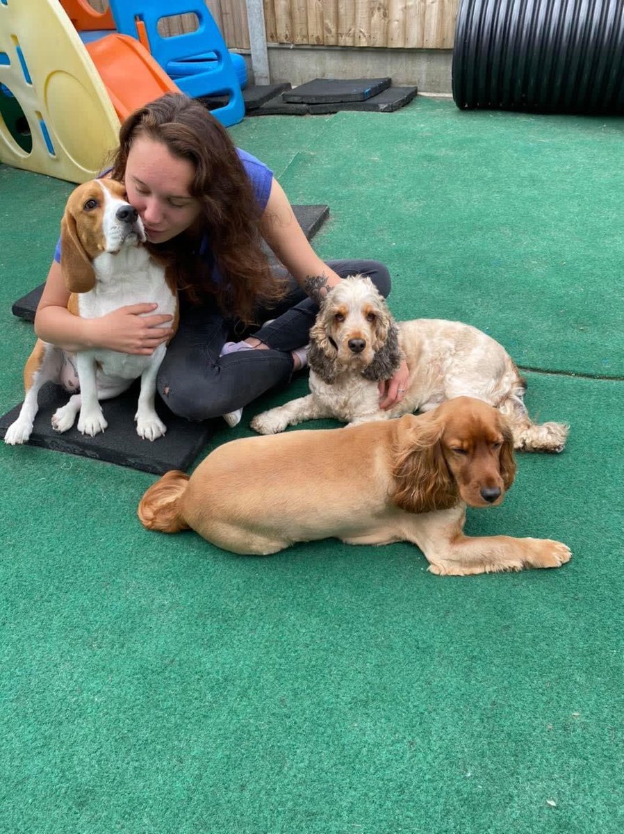 EmpawriumPaws's tweet photo. #FriendshipMonth #September2020 #PlayPawsDoggyDayCare #PlayPawsEmpawrium
#dogsofinstagram #puppiesofinstagram
#instadogs #dogsofinsta #dogsoftwitter #dogsoffacebook #dogsoftumblr #furbuddies #furbabies #essexdogs #mansbestfriend
#doglife #welovedogs #itsadogslife #dogs https://t.co/NK0IaAzmax
