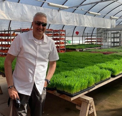 LindaAnnisBC's tweet image. Surrey’s strength in agriculture gets us great fresh food. Ron Brar of Evergreen Herbs took me through their family run farm employing more than 250 people, supplying local produce &amp;amp; herbs to major grocery stores &amp;amp; restaurants in Canada. @EvergreenHerbsL Evergreenherbs.com