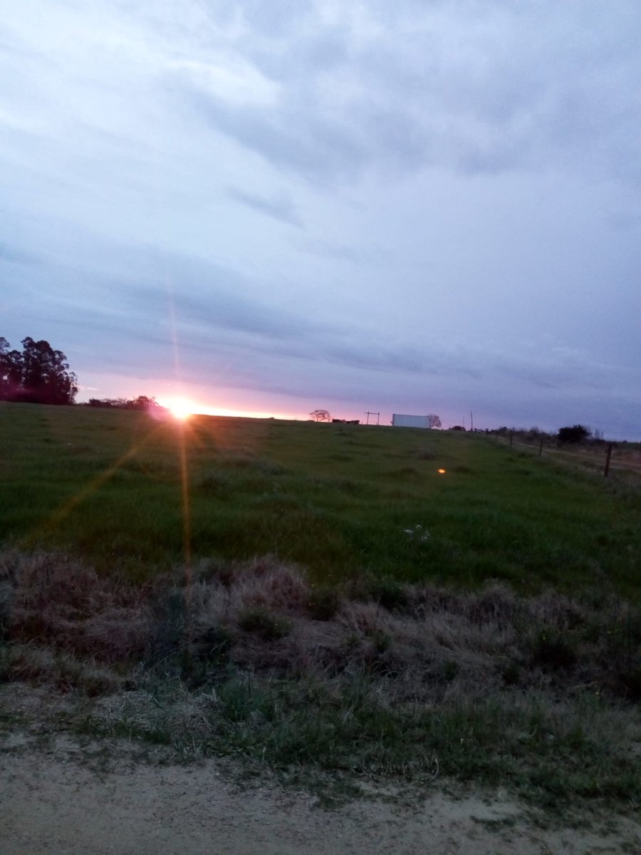 VaneCerriBolso's tweet photo. El campo no descansa y este equipo comprometido por y para la ciudad de Los Cerrillos tampoco sabe de descanso. Nuestro Candidato a Alcalde sigue su recorrida por cada zona de la 3era Sección. Porque hay compromiso, nos preocupa el vecino y creemos q el camino es este! 💪 #33U https://t.co/Na5vPZN4BU