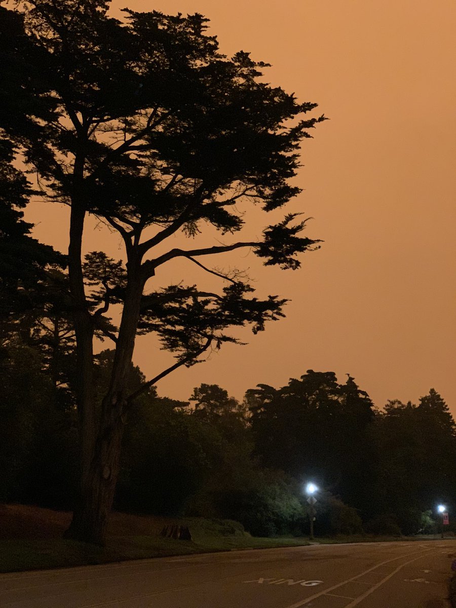 HeardFromFriend's tweet photo. @sfchronicle Golden Gate park at 10am https://t.co/OOTFCtE0KE