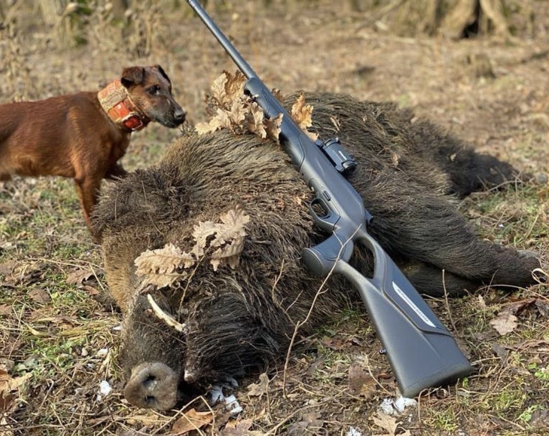 Blaser_USA's tweet photo. Dreaming of driven boar.
📷: @biggamehunt2020
#blaserr8 #blaserusa #blaser #boarhunting #drivenhunt #drivenboar #huntingdogs #gundog #huntingrifle #happyhunting #wildboar #hoghunting #rifleseason https://t.co/yCh9HQVTqd