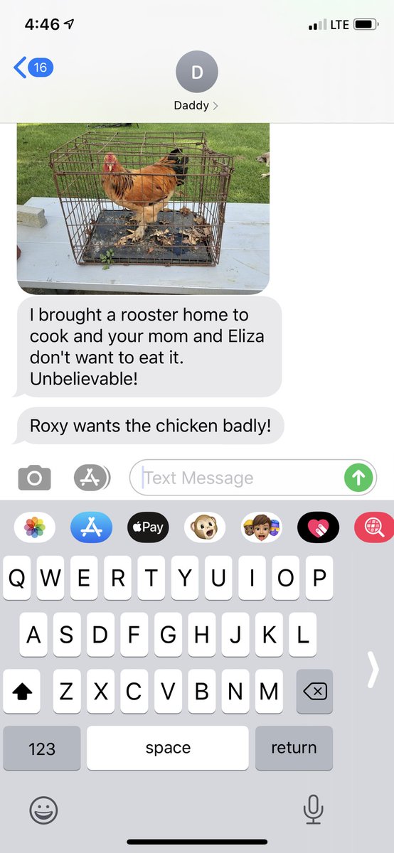 maryebarrow's tweet photo. The chicken: 👁👄👁 https://t.co/GVmBTtUCJQ
