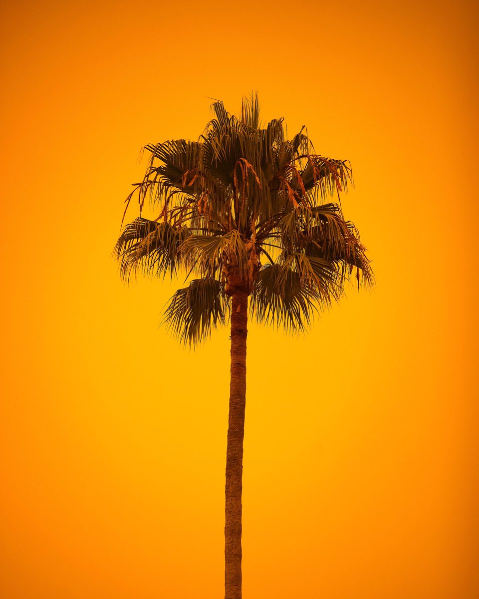 Welcome to Mars, folks. 😔🌴