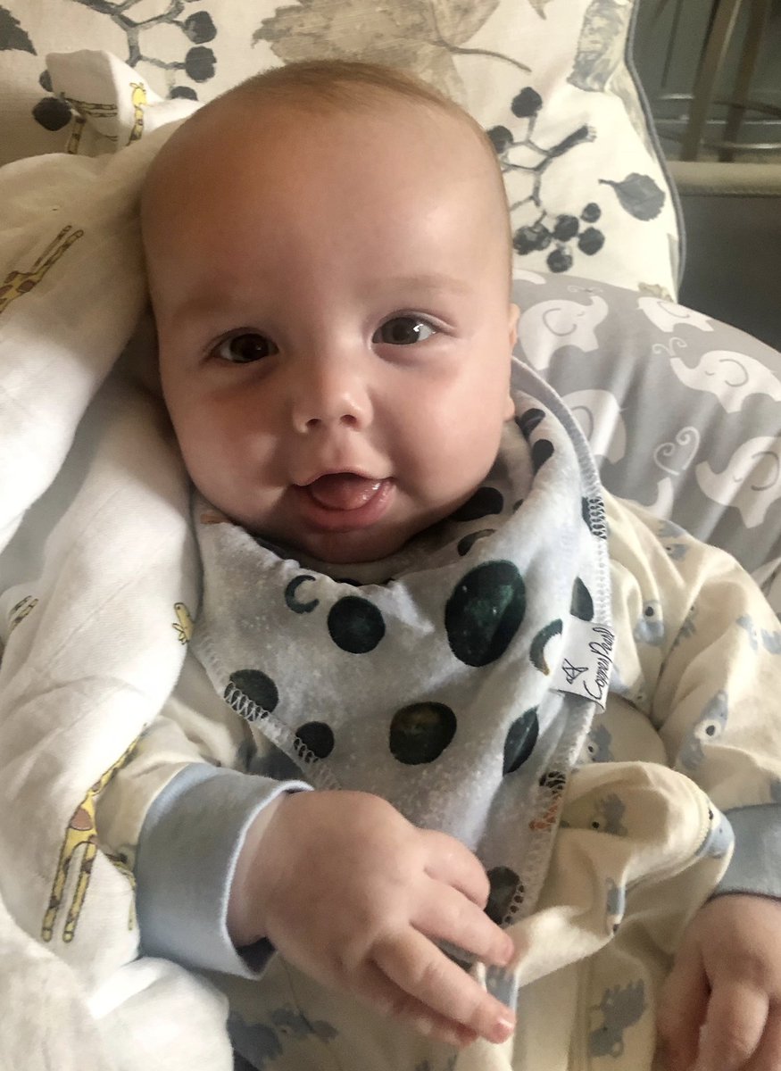 kasey_odea's tweet photo. I’m cute and I know it! Anyone have any Halloween costume ideas for this stinker? #connorjoe #4months https://t.co/OZJQVPB5ja
