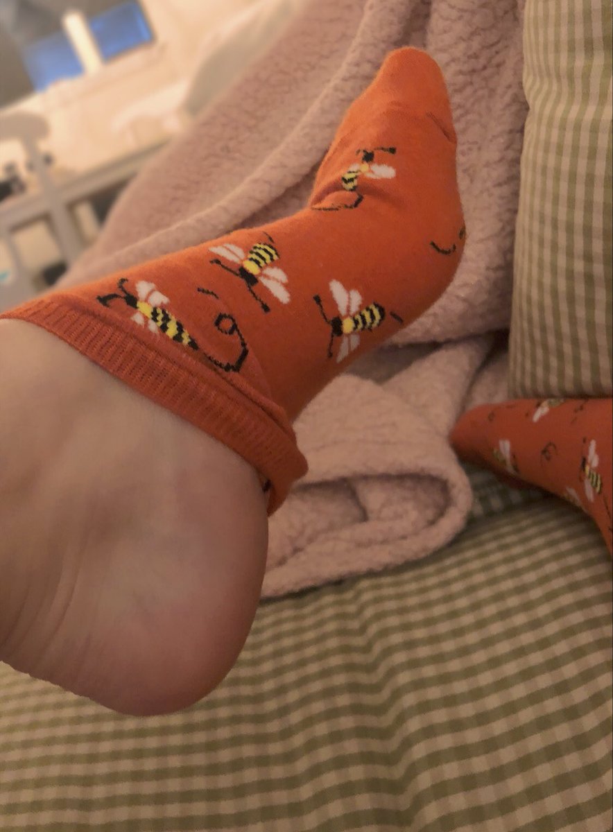 miafootifa's tweet photo. Can you hear the bumblebees swarm? 🐝 #foot #feet @FootParadiseRT #footparadise #socks @rt_feet https://t.co/I5RGMopnLI