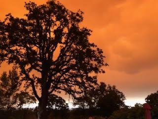 Great Oregon Wine Company & Distillery tweet media