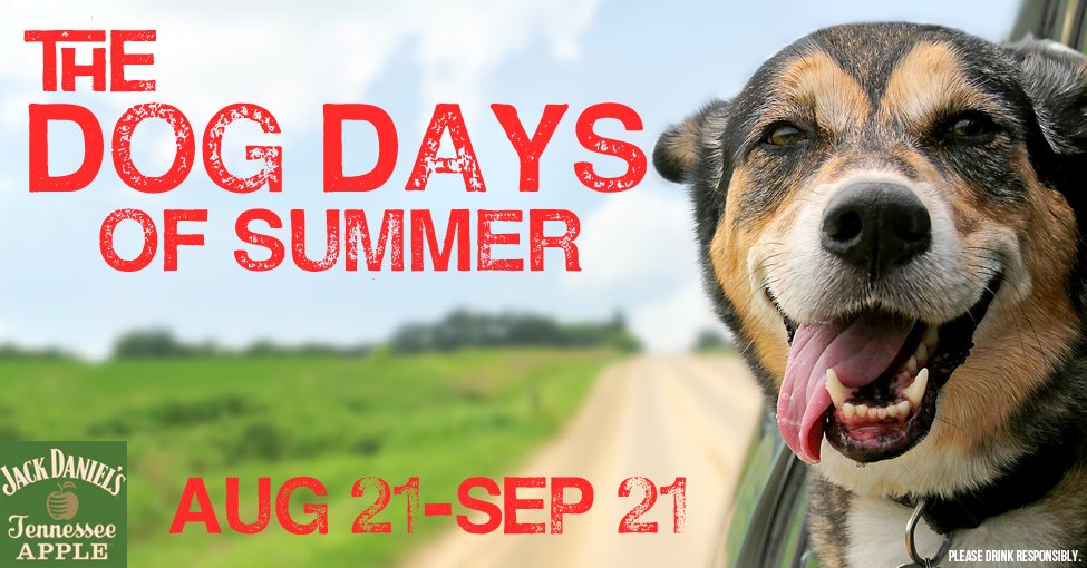 FM1021's tweet photo. We're teaming up with @JackDaniels_US Apple and over 20 MKE places like @boonemilwaukee @DorsiaMilwaukee @FatDaddysTavern @FlannerysMKE @HotHouseTavern, and more for the Dog Days of Summer. Purchase a JD Apple &amp; Cranberry and help @MADACC Details: https://t.co/jQGERWM48A https://t.co/mIzPPzdJTt