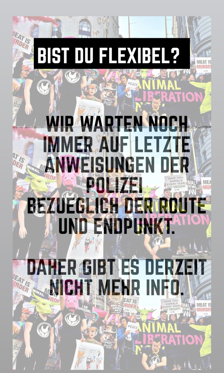 MarchKoeln's tweet image. #toarmkoeln #tierrechte #tierrettung #tierschutz #colognevegan #kölnvegan #veganismus #bonnvegan #vegannrw #vegandeutschland #deutschlandvegan #vegangermany #veganwerdenwaslosdigga #veganaktivimus #tierbefreiung #nonviolence #animalrightsactivist #animalrightsactivism