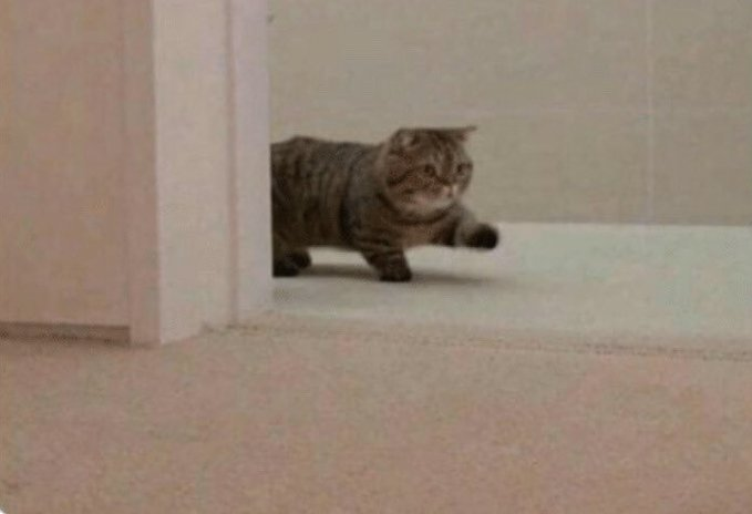 Oh lawd he comin