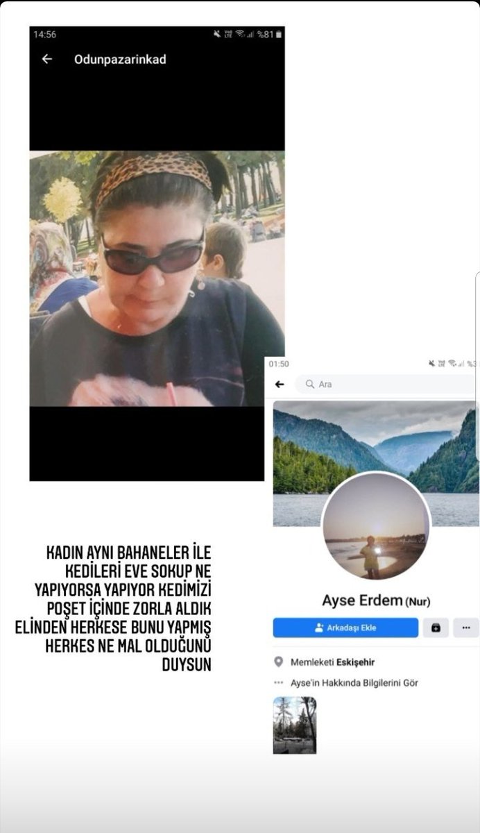 nocontexteses's tweet photo. Eskişehir'de bu cani sosyal medya üzerinden kedileri sahipleniyormuş, dikkat edelim. https://t.co/7lBA64czB6