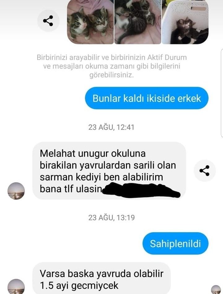nocontexteses's tweet photo. Eskişehir'de bu cani sosyal medya üzerinden kedileri sahipleniyormuş, dikkat edelim. https://t.co/7lBA64czB6