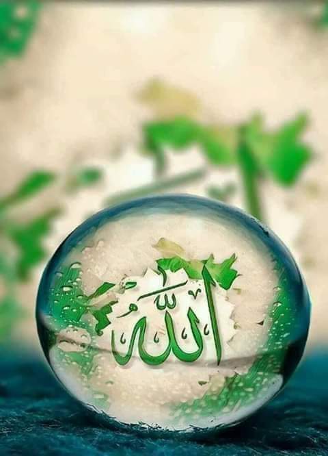 Zainabk37's tweet photo. 🌷اَلسَّلاَمْ عَلَيْــــــــــــــــــلیکُمْ ورحمۃ الله  
  وبرکاته🌷              

🌷صبـــــح بخیـــر زندگی 🌷     
 
"القـــــرآن":
:تم کسی بھی انسان کو برا نہ سمجھو
شایدوہ ویسا نہ ھو
جیسا تم سمجھتے ھو 
:"حقیقی علم تو
الــلــه کے پاس ھے.
اورتم تو لاعلم ھو ۔

#زھرا https://t.co/iPQzZV0y3M