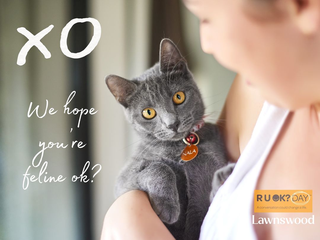 It really is okay to not be okay.
The grief felt when we lose a pet can be immeasurable. There’s no shame in admitting that you need help.
Today is the day to simply ask your friends and loved ones if they are okay.
#RUOK #itsoknottobeok #Lawnswood