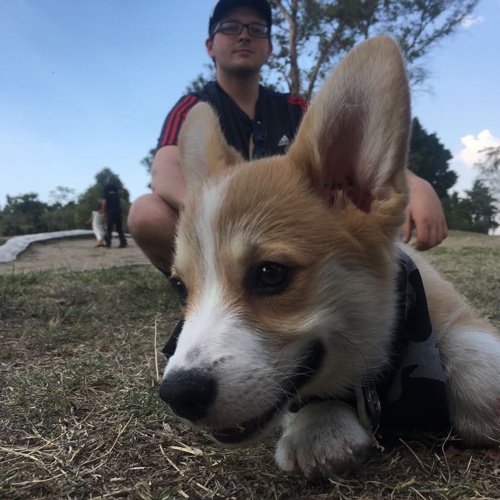 CorgilobacterJ's tweet image. Thank you @Farzanarab for tagging me!
1. I&apos;m Andrew and I&apos;m applying for pathology #pathmatch2021
2. Family, Corgis, and grilling on a hot summer night
3. I love teaching, and making learning enjoyable.

I nominate: @chinlandstarjj @Levi_Endelman @DrAshleyCrosby