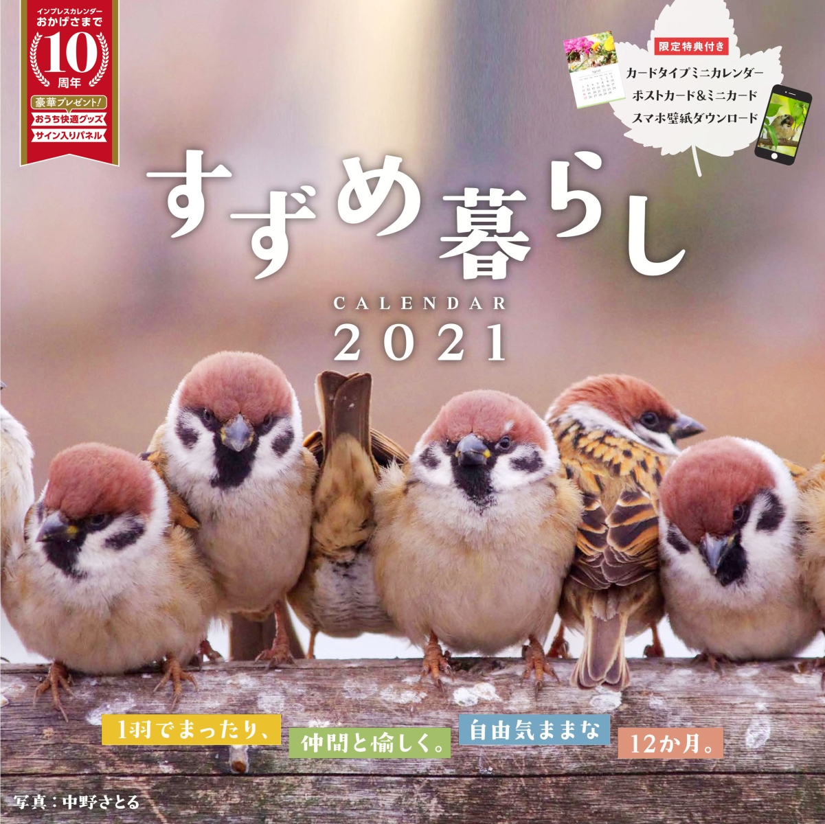 تويتر 中野さとる على تويتر すずめ暮らしcalendar 21 インプレス もうすぐ発売 9月17日 1100円 税込 T Co Qhcockv7cc T Co Zrunnf6mvk 可愛いすずめたちの暮らしをながめているとほんわか心も癒されますよ 雀 スズメ すずめ Sparrow