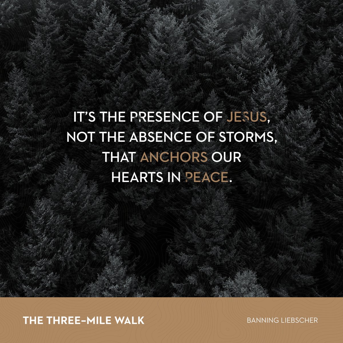 “I have told you these things, so that in me you may have peace. In this world you will have trouble. But take heart! I have overcome the world.” John 16:33