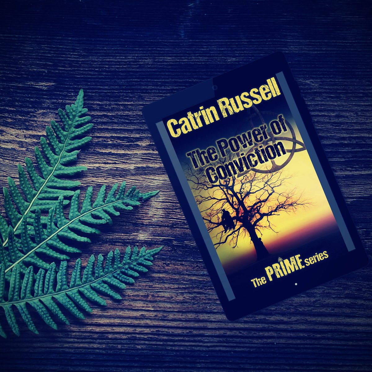 LHWhitlock1's tweet photo. In a sweeping war between humanity and demons, a Priestess of the Light is forced to choose between heart and duty.
Check out #ThePowerofConviction here: https://t.co/sf9Fhb2ZNx
#ThePrimeSeries #CatrinRussell #Fantasy #Books #AmReading #ReadingCommunity #WritingCommunity https://t.co/zDl6DxYzWv