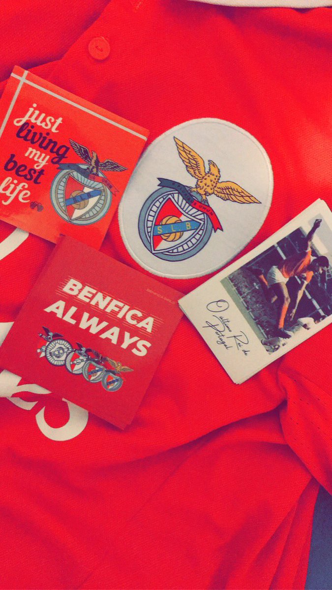 Usually I find trash in my mailbox, today...different story! 😍😍😍Muito obrigado @css1904!! ❤️❤️Toronto, Canadá vai ficar cada vez mais lindo #BenficaGirls