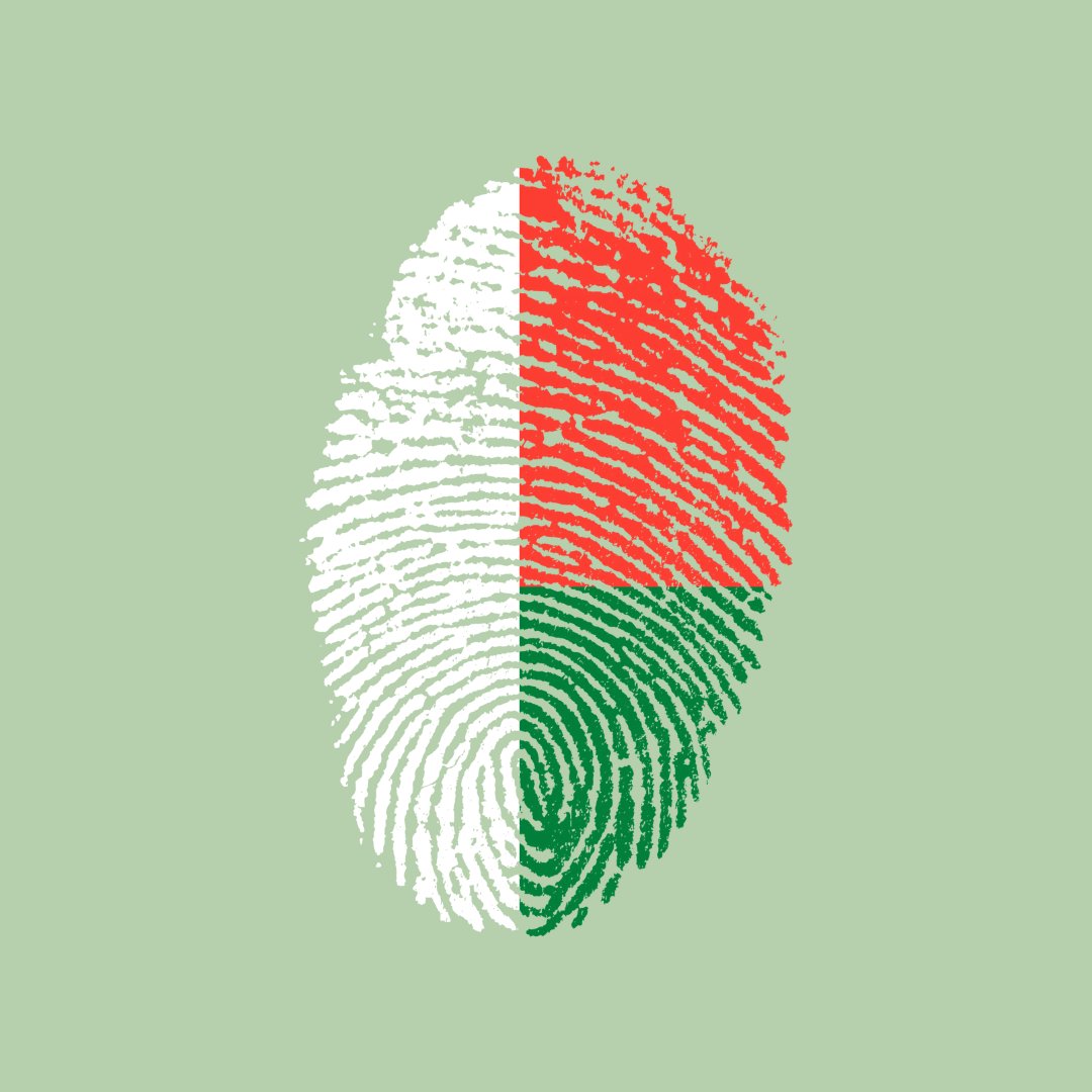 Did you know that the flag of Madagascar was first hoisted in 1958? A lot has changed since then, with new meanings being attached to the colours. Red represents laterite and the blood of the zebu. White symbolizes peace and freedom. Green is the forests of the island.