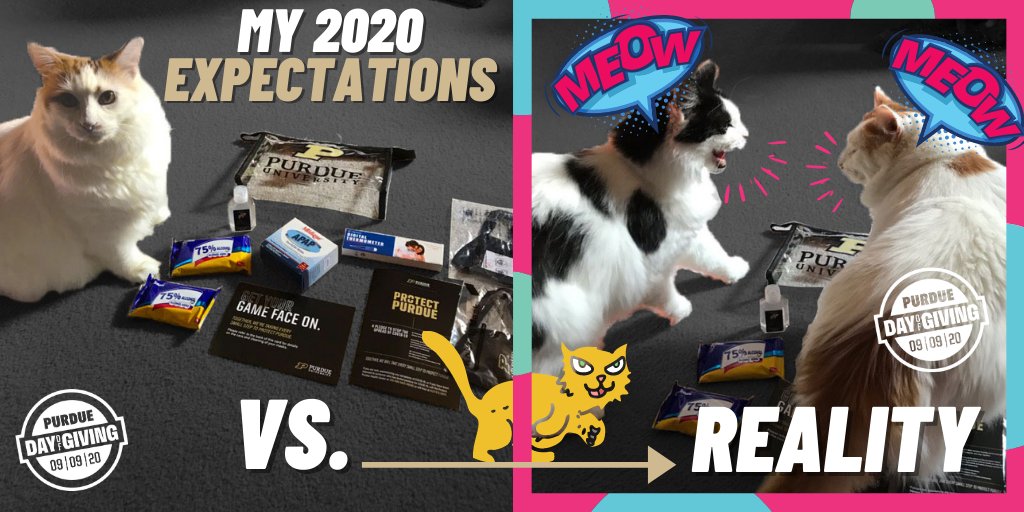 Purdue Libraries and School of Information Studies tweet media