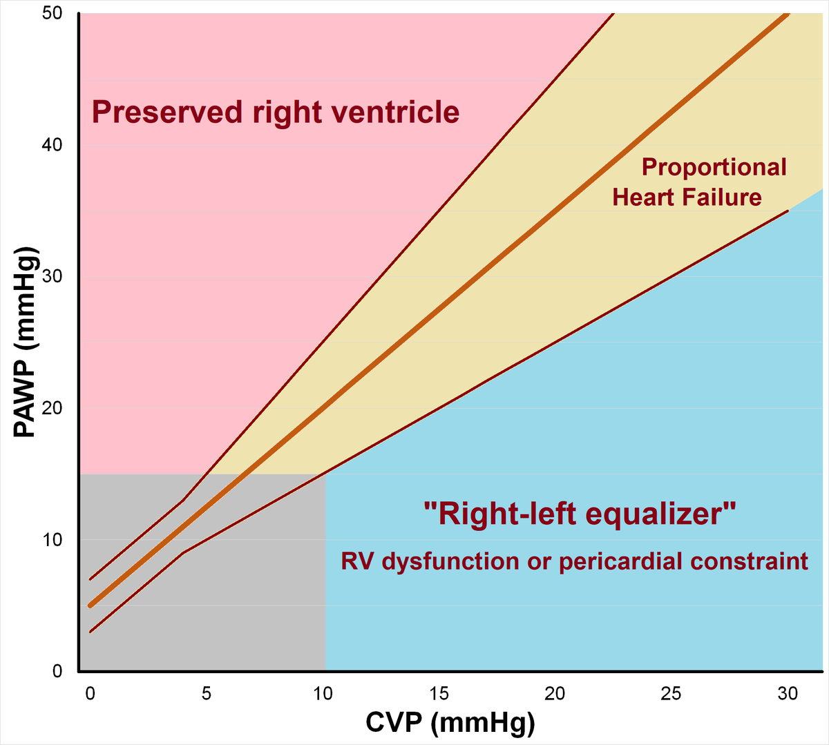 Right & left should be "in proportion", if not, think RV dysfunction or pericardial constraint!