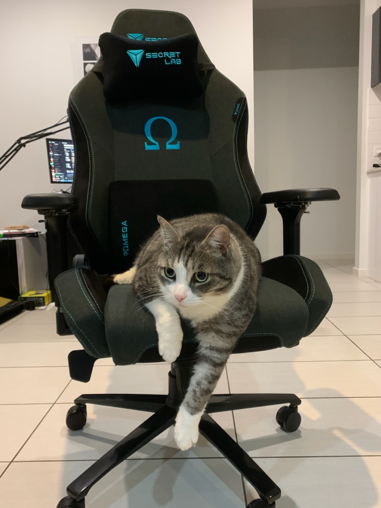 Nitemonq tweet media