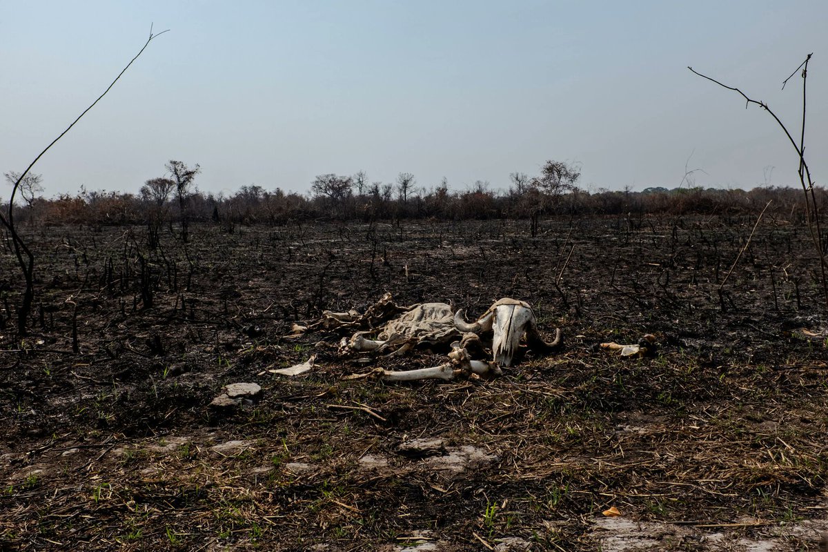 AaravSeth🇮🇳 tweet media