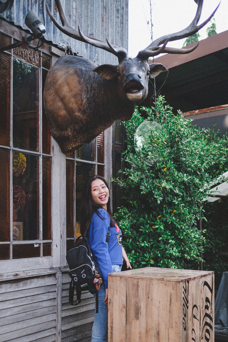 VeeZickarr's tweet photo. กวางกับหนู ใครแรดกว่ากันคะ🦏

ลาตาย��่วงหน้า🤣
.
📷Fuji X-T2
📷Provia+LR https://t.co/XFZHGJl2BS