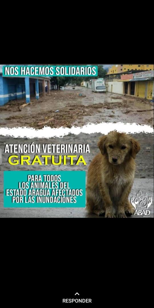 javiedu27's tweet photo. POR FAVOR DIFUNDAN GENTE DE MARACAY, ALGUNAS DE LAS AYUDAS QUE HE VISTO POR ACÁ PARA LOS AFECTADOS DE EL LIMÓN, SI TIENEN MAS HAGA LAS LLEGAR Y ABRIMOS UN HILO https://t.co/ODFCZvGD59