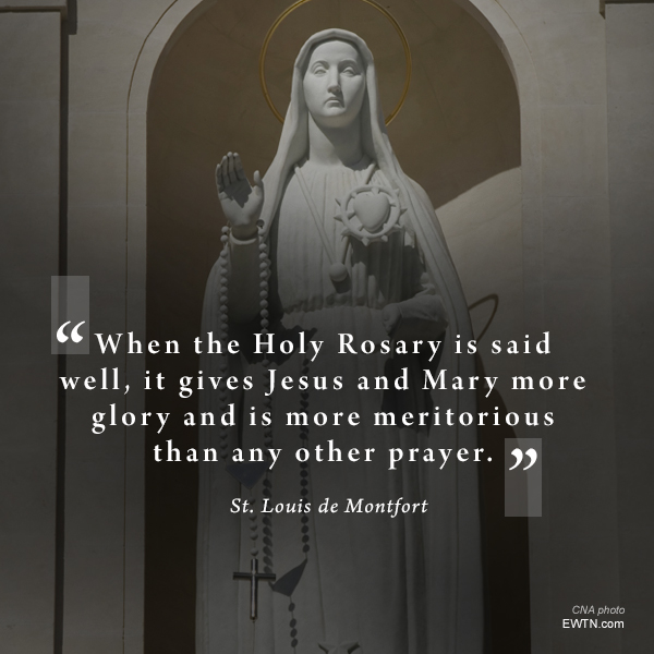 EWTN Global Catholic Network tweet media