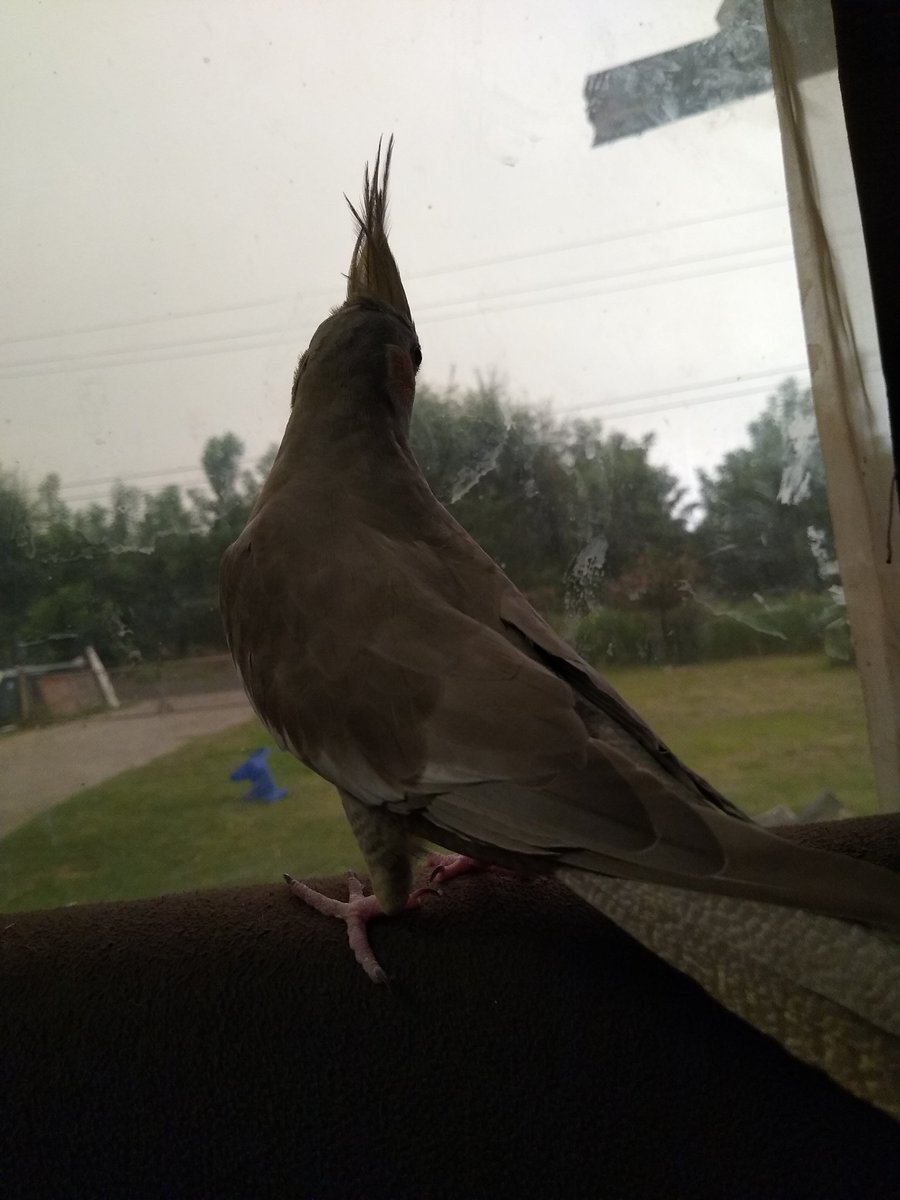 I step
I peep
But most importantly 
I beep