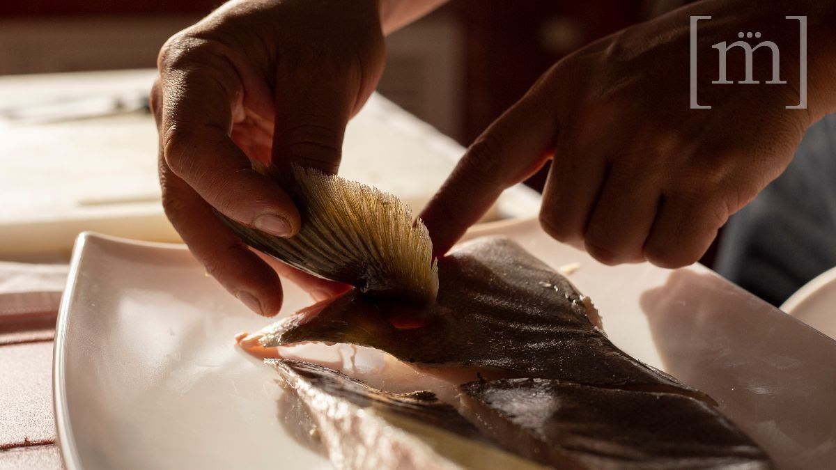 animalgourmet's tweet image. Prepárate porque ya viene Migrante, un restaurante del chef Fernando Martínez Zavala. Checa de qué se trata.
animalgourmet.com/2020/09/09/mig…