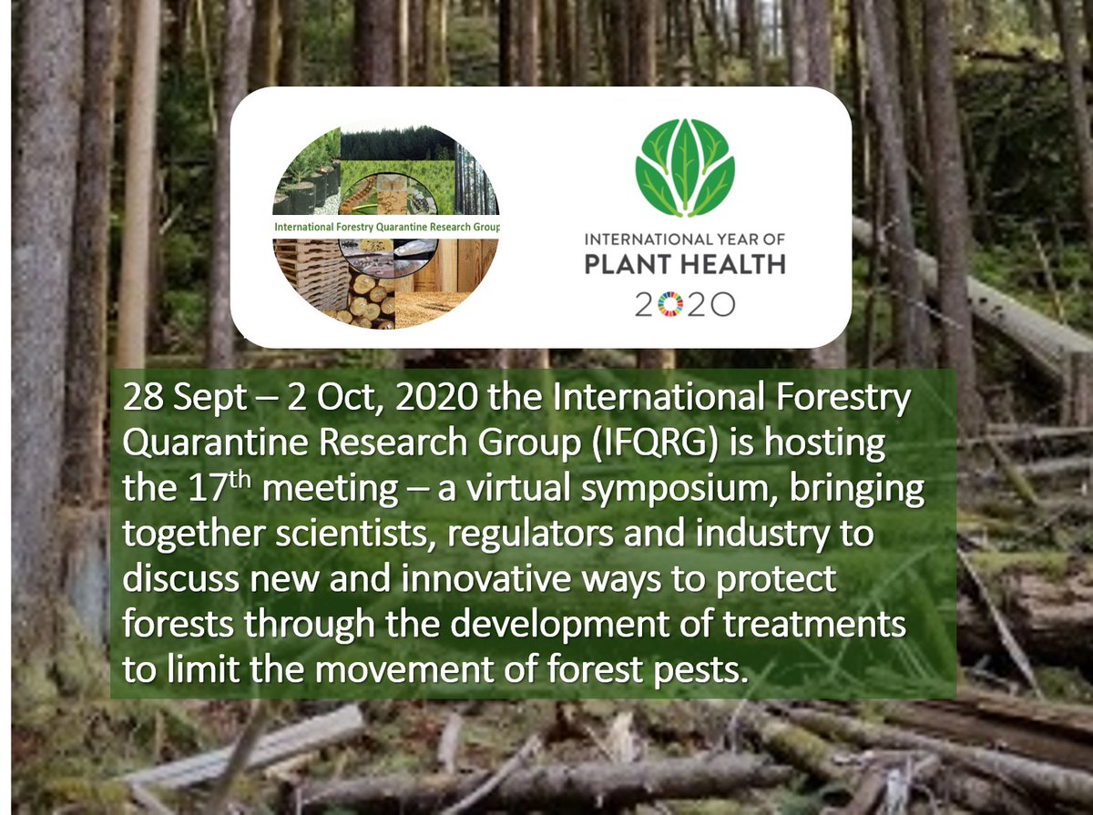 ForestryGroup's tweet photo. IFQRG-17 Virtual Symposium 28 Sept- 2 Oct, 2020 (11:00-13:30 EDT)#IYPH2020   For registration info: https://t.co/kY17GkaAFY https://t.co/rLnixt7B9Y