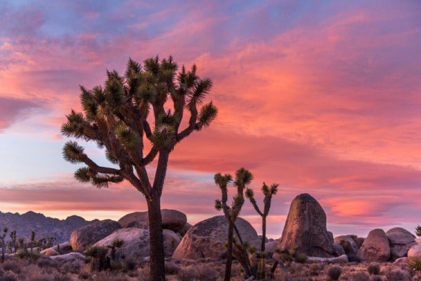 VP46Archive's tweet photo. Happy 170th birthday to our beloved California, which gained statehood on this day in 1850. Between ongoing wildfires and a global pandemic, there’s no question these are difficult times for our state. Remember that we are in this together. https://t.co/ePOKMEcLfr