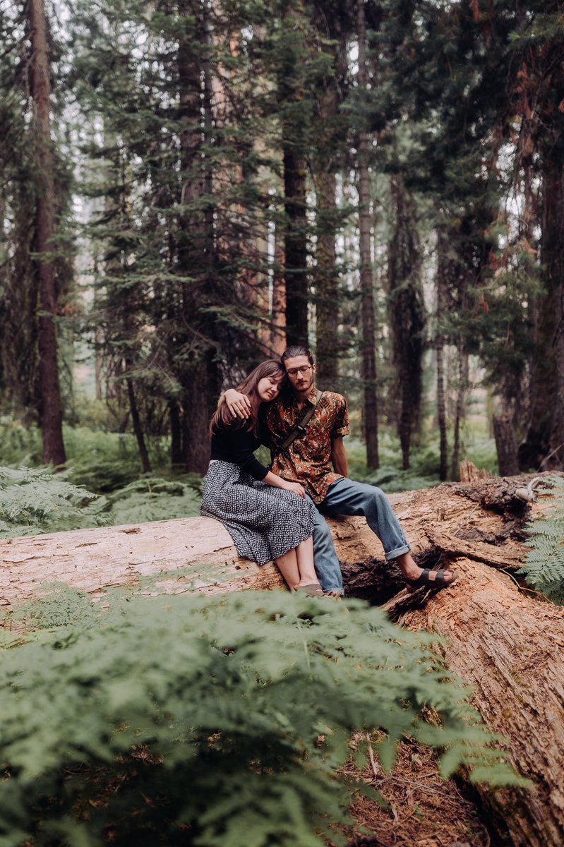 jacobetovar's tweet photo. LOVE IN THE SEQUOIAS. https://t.co/YKO2eD25Tg