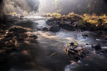 VertigoWarrior's tweet photo. The mysterious and divine ‘Sahasralinga’ in Shalmala river, Karnataka consists of over thousand rock cut Shivalingas. The unique carvings which also include the deities of Ganesha and Nandi are said to exhude a mystic aura. https://t.co/2pp2GXzRol