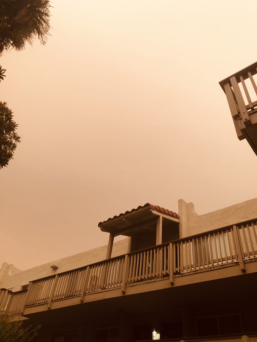 augmentedjs's tweet image. More orange skies.