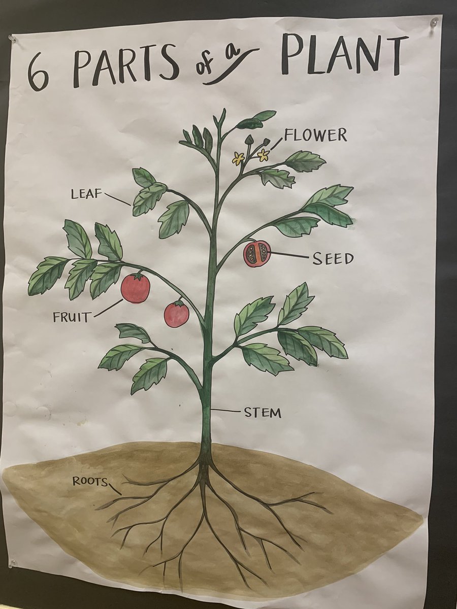 NehiyawSpirit's tweet photo. I visited Grandview elementary staff community today to talk about supporting Indigenous learners and families during COVID-19. SOAR - will help them lift up all learners.
@GrandviewRavens @risha_golby
@SAHoffman @JodyLanglois
#letsall
#SOAR
👇🏾 https://t.co/2FZiuaYaE3