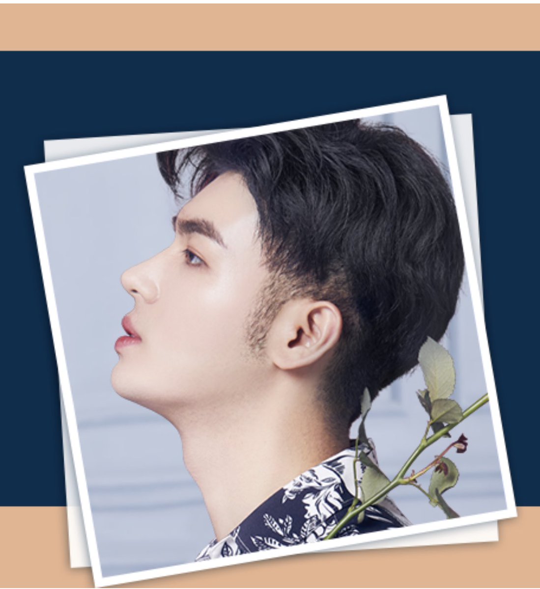 화요일성형외과 Hanayobi Jp Twitter