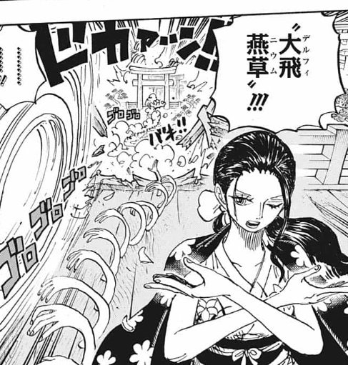 ワンピースロビンの強さを考察 覇気を使えたら最強説 やあ 僕の漫画日記