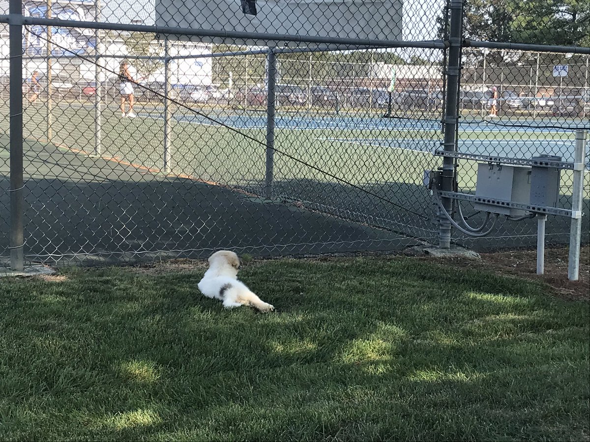 DefianceGT's tweet image. Defiance Girls Tennis defeated Ayersville 3-1. 1S suspended by time. Winners: 2S Kaylee Crigger, 3S Courtney Brown, 2D Gabby Fabiano/Monse Martinez.