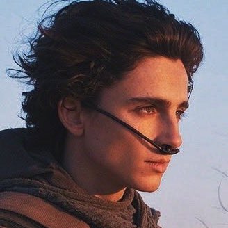 The simplest way to summarize Paul, is an example given by Denis Villeneuve himself. Michael Corleone from The Godfather. A young boy who has the weight of a terrible destiny on his shoulders, which he must come to terms with as it engulf his whole life.