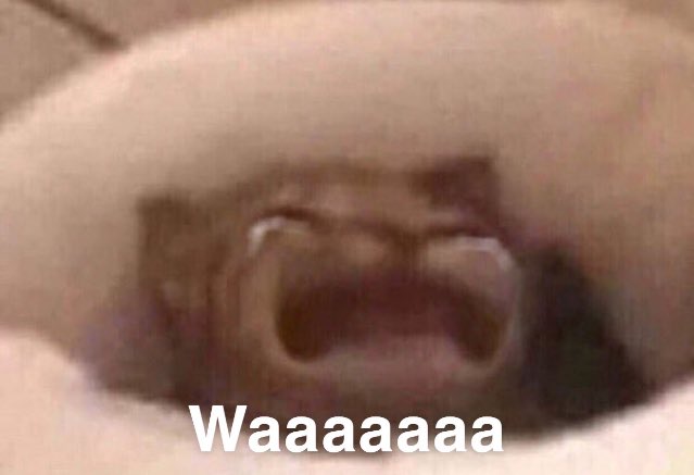 ere; (@theonesugar) on Twitter photo 