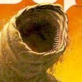 When he took on this project, he wished to bring Dune to life by going back to those first imagine he had as a kid experiencing Dune, truly coming at this not only from the lens of a filmmaker but a fan as well.