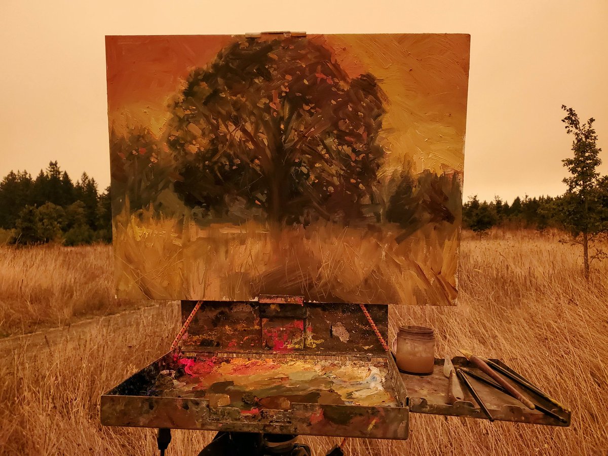 Drove to Wilsonville,OR to paint this majestic oak tree amongst the fires today. Without a doubt the most surreal lighting environment I have ever painted! 
18x24 inches. Oil &amp; ash on panel. #pleinair #oilpainting #OregonFires #extremepleinair #pleinairordie #oregonwildfires