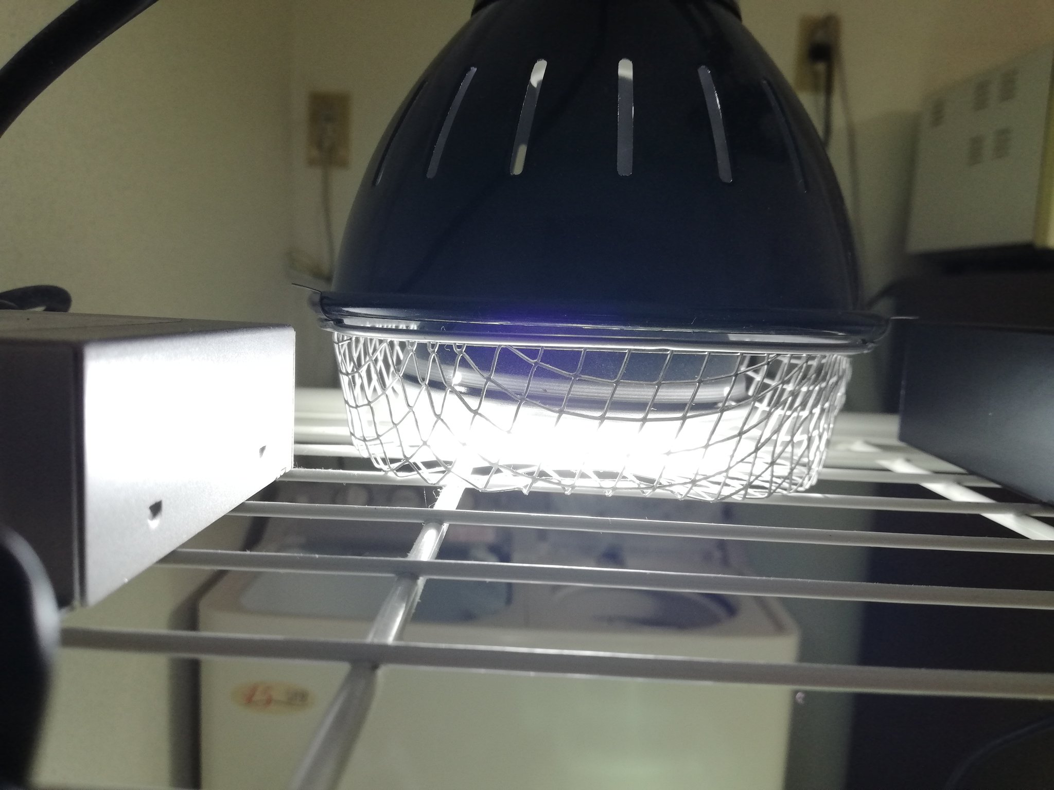 ゼンスイソラリウム(電球なし)