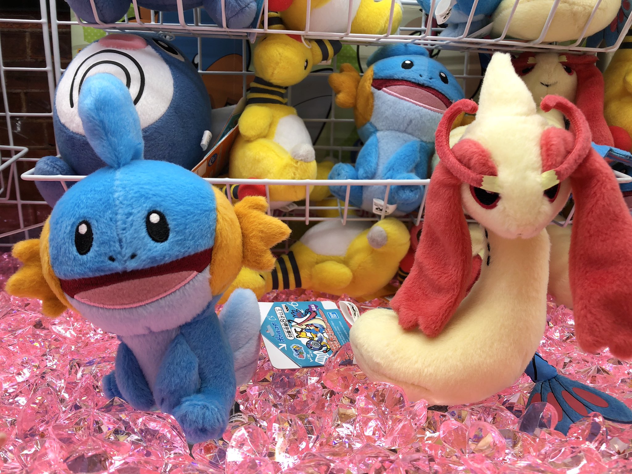 Twitter 上的 タイステ海老名ビナウォーク店 周年 プライズ 新景品 ポケットモンスター しっぽみてみて ぬいぐるみ ニョロモ デンリュウ ミズゴロウ ミロカロス が登場いたしました しっぽをアピールしたかわいいぬいぐるみです ポケモン しっぽ