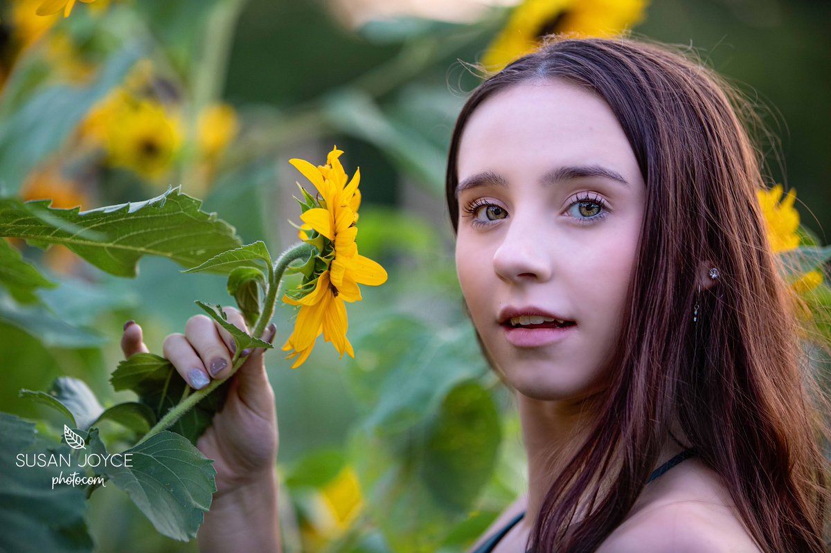 Susan Joyce Photo tweet media